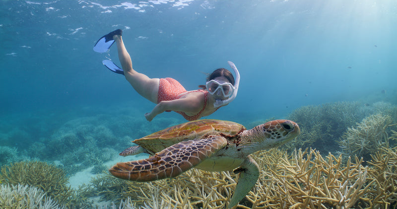 Adult Snorkeling Sets