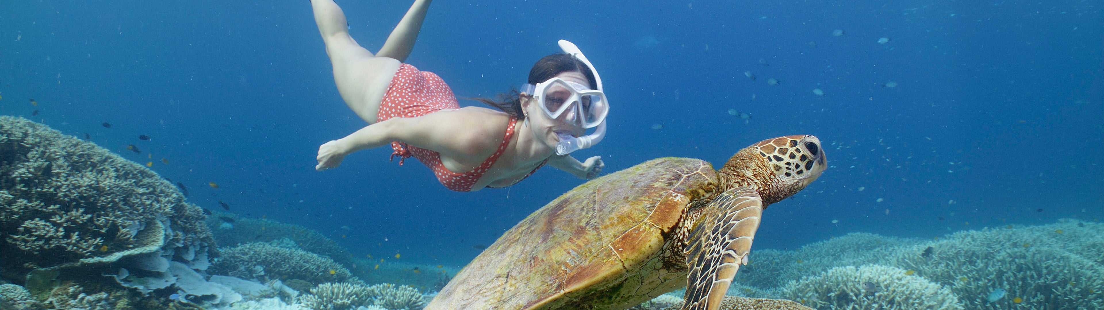 Person snorkeling with a turtle near coral reefs underwater